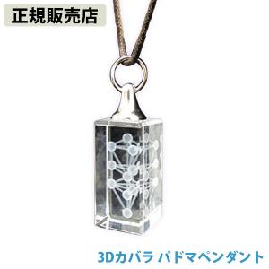 27-1日はクーポンで最大￥500OFF】模型 3Dカバラ パドマ（ステンレス