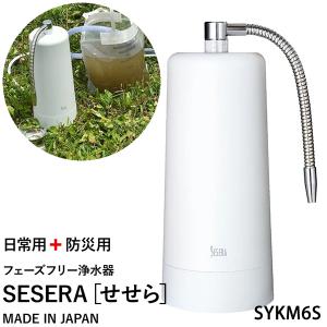 アムウェイ 浄水器 eSpring-II 据置型 100188J5 amway espring浄水器II
