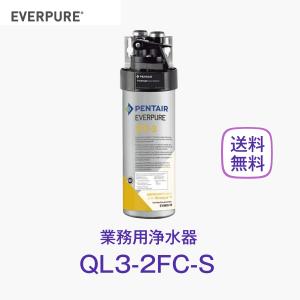 エバーピュア 2FC-S 浄水器カートリッジ 業務用 : 厨房 キッチンプラス