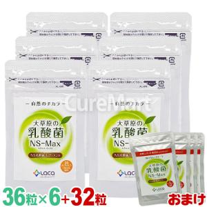 アルタイのNS乳酸菌 60粒 NS-Dx 腸活 乳酸菌 サプリメント : OSK store