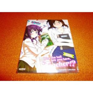 文豪ストレイドッグス DEAD APPLE 劇場版コンボパック ブルーレイ+DVD