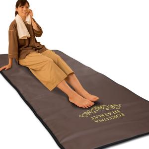 トーエー DOS-MT1000(シングル) 温水暖房システム ぽかぽかくん寝具