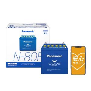 Panasonic（パナソニック） ブルーバッテリー安心サポートセット