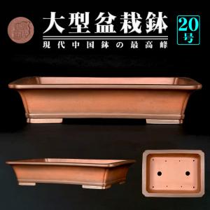 盆栽鉢 紫泥外縁隅切額面長方鉢 植木鉢 中国鉢 張氏製陶 落款あり 18号