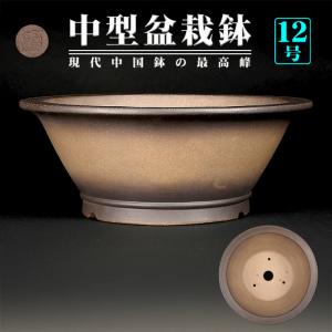 盆栽鉢 紫泥外縁胴紐楕円鉢 植木鉢 中国鉢 張氏製陶 落款あり 15号