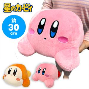 ポケモンセンターオリジナル ぬいぐるみ マンスリーピカチュウ2015年5