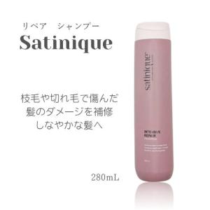 Amway（アムウェイ） サテニーク エクストラ シャンプー 280ml : BR