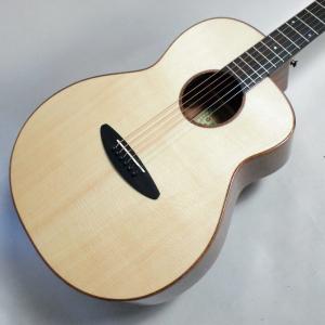 HISTORY（ヒストリー） HC-337L アコースティックギター用シールド 3m