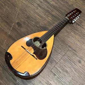 鈴木楽器製作所 Suzuki M-30 Mandolin スズキ マンドリン -a785