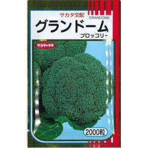 SK9-099 ブロッコリー種子 ペレット5000粒 【野菜種子】【サカタのタネ