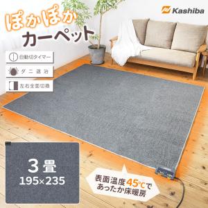 MORITA（モリタ） ホットカーペット 3畳 195x235 TMC-300 MORITA 本体