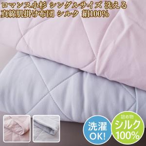 極美品 CELINE セリーヌ 肌掛けふとん 合織掛け布団 シングル 140