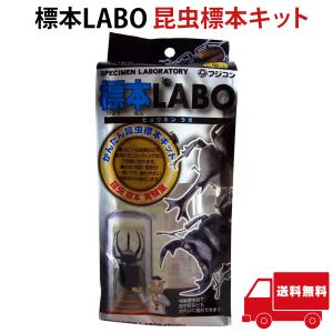 2026年2月】標本箱(標本ケース)のおすすめ人気ランキング - Yahoo