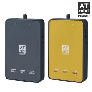 伊藤超短波 コンディショニング機器 AT-mini Personal II（ゴールド