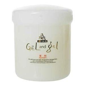 ゲルアンドゲル クリーム トリプルA 容量500g 2個 薬用トリプルA ゲル