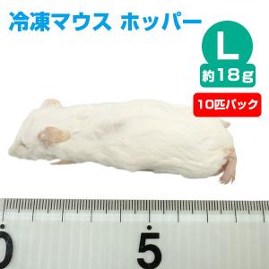 冷凍 エサ冷凍 冷凍マウス ホッパー Sサイズ 約10g 10匹パック T2