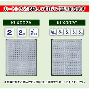 381系 車番【厚盛メタリックインレタ〈部分ノリ〉】全編成分 : 京神