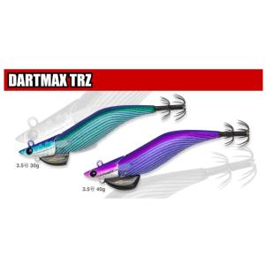 フィッシュリーグ ダートマックス TRZ 3.5号 30g メール便配送可