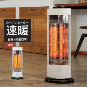ダイキン（DAIKIN） ダイキンセラムヒートERFT11SS : ジャパン埼空