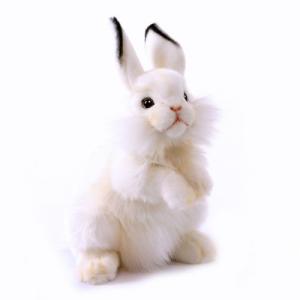 HANSA BH5823 ウサギ うさぎ 兎 ぬいぐるみ リアル : Dear Bear WEB
