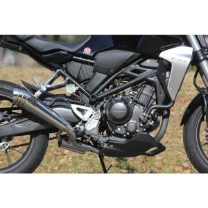 パワーボックス マフラー（スリップオン） SP忠男（SP TADAO） CB250R