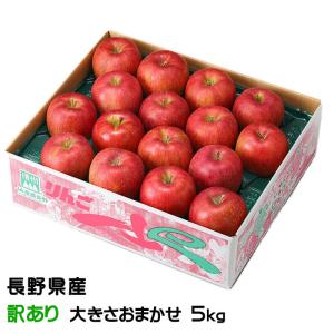 りんご サンふじ 秀品 10〜23玉 5kg 長野県産 信州高山さわやかりんご