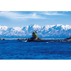 エポック社（EPOCH） ジグソーパズル 500ピース 光り輝く函館夜景