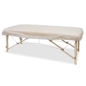 ベネチア32 アーム&バッグセット【FONTANA(フォンタナ)マッサージ