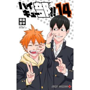 新品 ハイキュー 1〜45巻 全巻セット 完結 紙書籍 古館春一