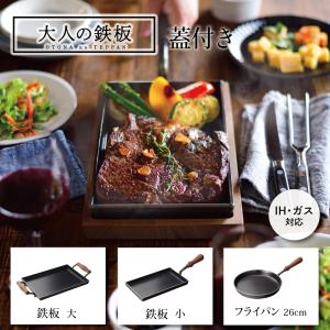 大人の鉄板 蓋付き AUX オークス フライパン26cm オシャレ お洒落 ワン