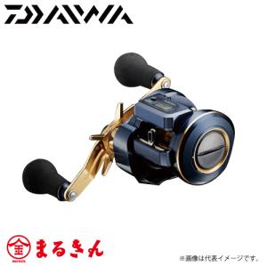 DAIWA（ダイワ） ソルティガIC 100HL-DH : つり具の銭屋 - 通販