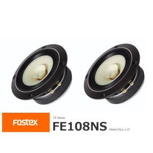 FOSTEX P1000-BH [2台1組] (フォステクス 10cm口径用 バックロード