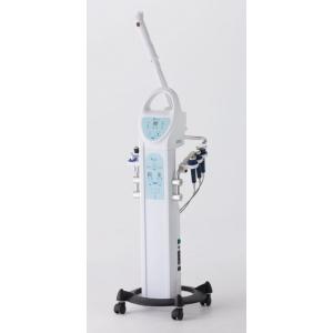 NEO-088 ソニアネオスチーマー タイマー機能付き 角度調整可能 オゾン