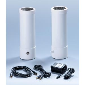 シロクマ タイムドメインライセンスモデルスピーカー myPod8 TD-1881