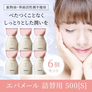 エバメール 正規品 オールインワンゲル クリーム 詰替え用 500g S 2個