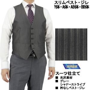 ETRO（エトロ） ◇エトロ◇メンズ ジレ ベスト 背面ペイズリー柄