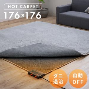 IRIS OHYAMA（アイリスオーヤマ） 電気ホットカーペット 3畳 電気