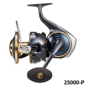 DAIWA（ダイワ） （25年5月新商品） SLPW 25 ソルティガ スプール