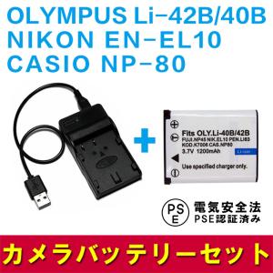 DC111 USB型充電器 MH-24 と ニコンEN-EL14 EN-EL14a 互換バッテリーの