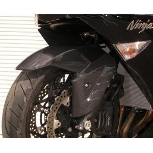 Kaedear（カエディア） CyberLED(サイバーLED) ウィンカー カスタム