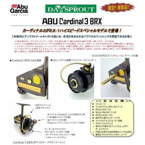 Abu Garcia（アブガルシア） アンバサダー5600/5601CA ファクトリー