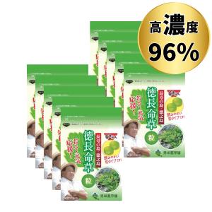 ユニシティ インナー クリーン ファイバー 10パック UNICITY 期限