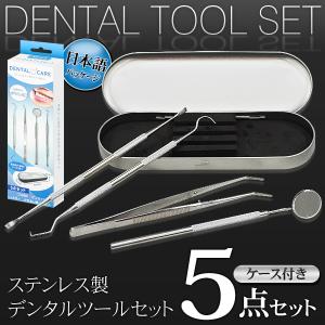 歯石取り 自分で オーラルケア セット 歯石除去 歯石 デンタルケア