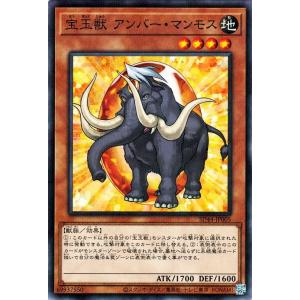 遊戯王オフィシャルカードゲーム デュエルモンスターズ 遊戯王 宝玉獣