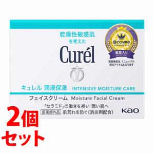 Curel 《セット販売》花王 キュレル 潤浸保湿 フェイスクリーム (40g
