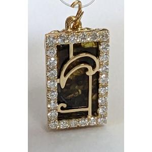 イミラック・パラサイト 石鉄隕石 560g Imilac Pallasite Meteorite