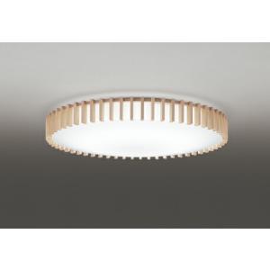 ODELIC（オーデリック） 非常用照明器具 埋込型 低天井 【OR036307P2