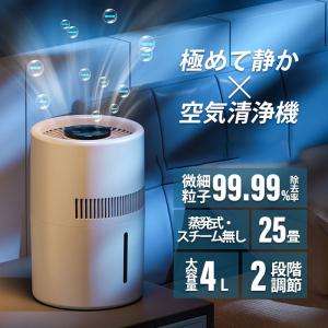 ダイキン（DAIKIN） 送料無料 加湿 除湿 ストリーマ 空気清浄機 ACZ70X