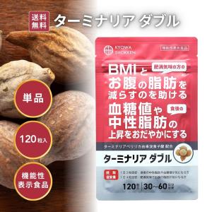 ○ターミナリアファースト プロフェッショナル4 タブレットタイプ 14