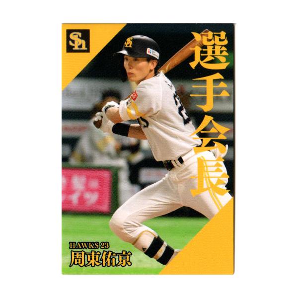 cardya2_zc2024-pl-09